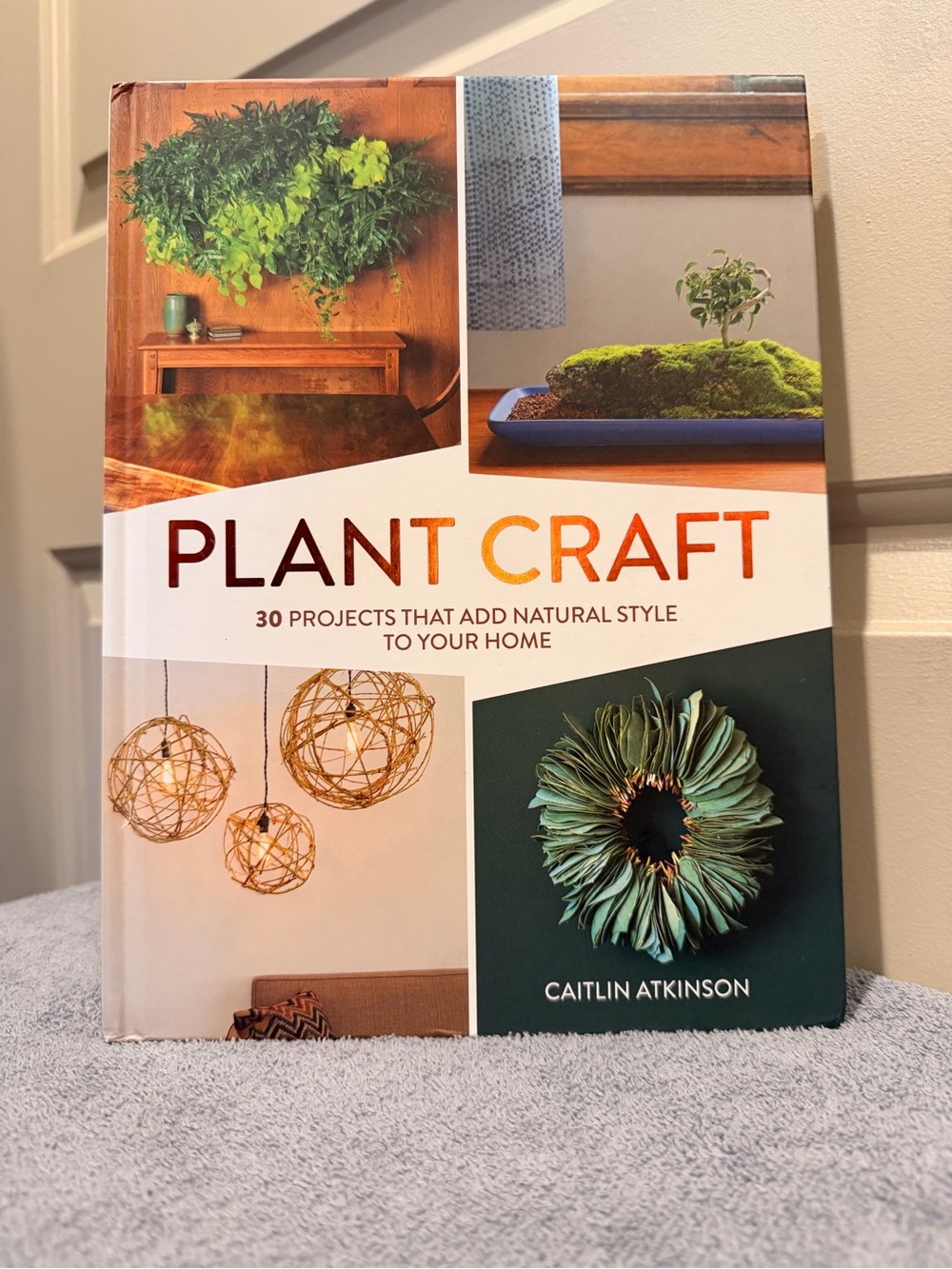 Plant Craft by - Green Accent Home Crafts Book